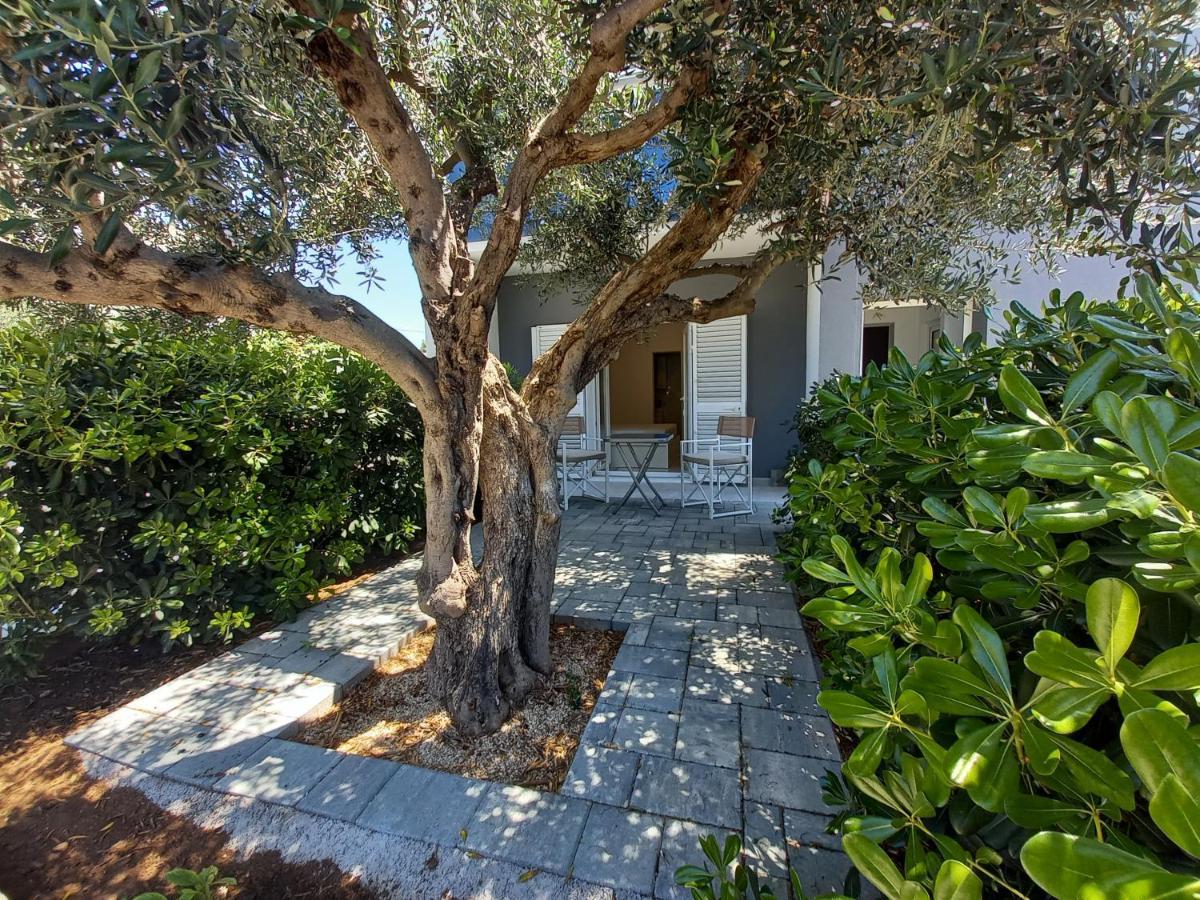 Olive Garden Appartement